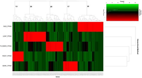 Genes Free Full Text Genome Wide Identification And