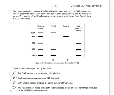 Ib past paper biology 2019 22 - Practice Question Solving ... 