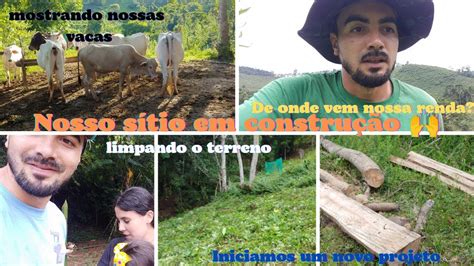 Vlog Nossa Fonte De Renda No S Tio Mostrando O Gado Limpamos O