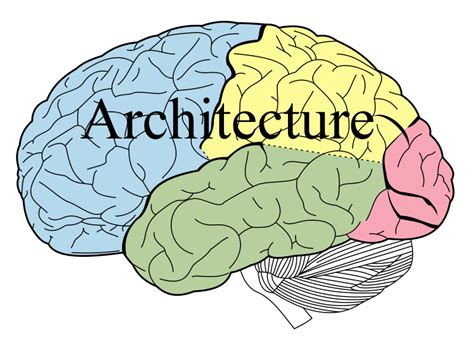 Knorr Architecture Blog: This Is Your Brain on Architecture