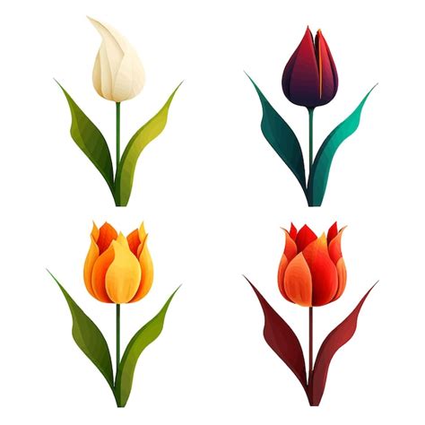 Ilustra O Vetorial De Tulipa Em Fundo Branco Vetor Premium