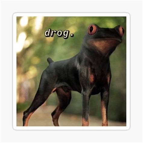 Dog Frog Hybrid Ubicaciondepersonascdmxgobmx