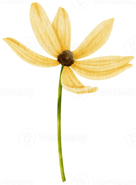 Yellow Flower Watercolor Style For Decorative Element 9785916 Png