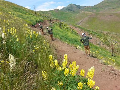 Blm Trails Expected To Reopen July 1