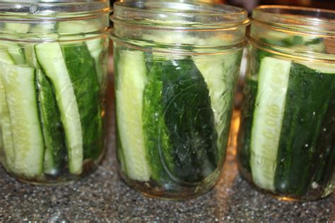 Crispy Dill Pickle Recipe Low Temp Method Old World Garden Farms