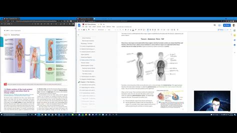 1 An Introduction To Anatomy And Physiology Fundamentals Of