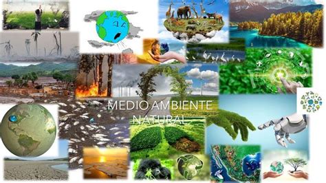 Medio Ambiente Natural 2030 Medioambiente Objetivos De Desarrollo