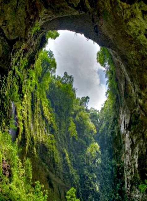 El Yunque National Forest Map