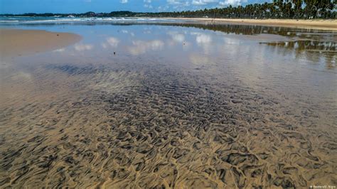 Brazils Oil Spill Criminally Deposited On Beaches Dw 10082019