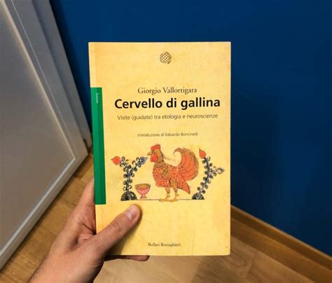 Cervello Di Gallina Osteon