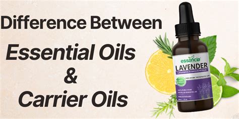 Understanding The Difference Between Essential Oils And Carrier Oils