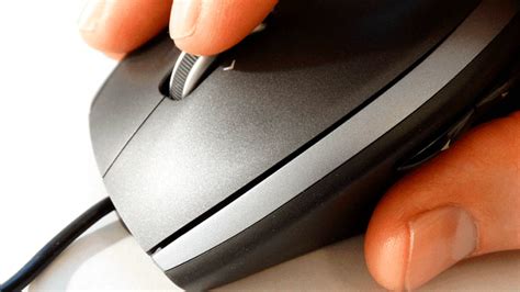 Cuáles Son Las Partes Del Mouse De Computadora Y Sus Funciones