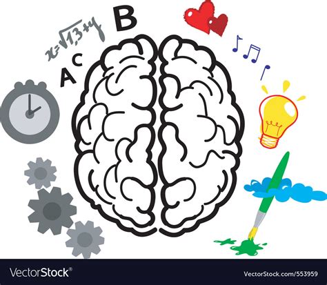 Brain hemispheres Royalty Free Vector Image - VectorStock