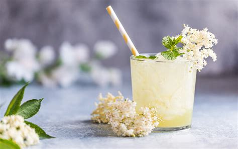 5 Of The Best Gin Cocktails With Elderflower Craft Gin Club The UK