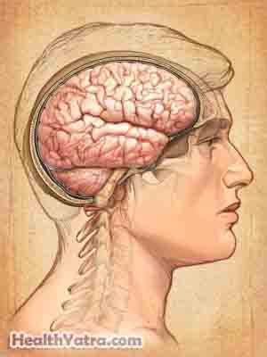 Delirium Tremens Definition, Causes, Symptoms, Complications and Cost ...