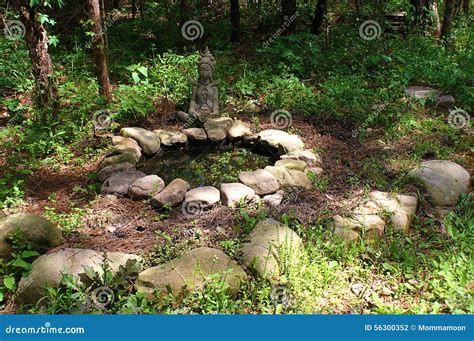 Garden Pond Surrounded With Rocks Stock Photo Image Of Serene