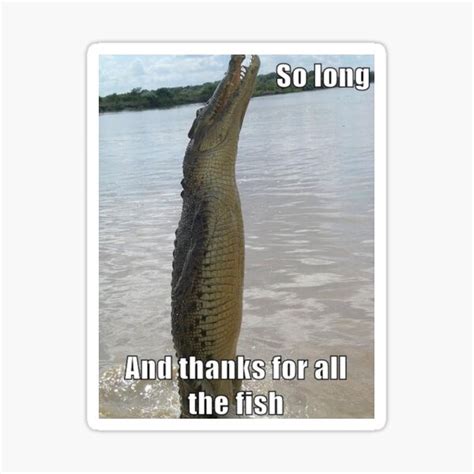 So Long And Thanks For All The Fish Crocodile Humour Sticker For