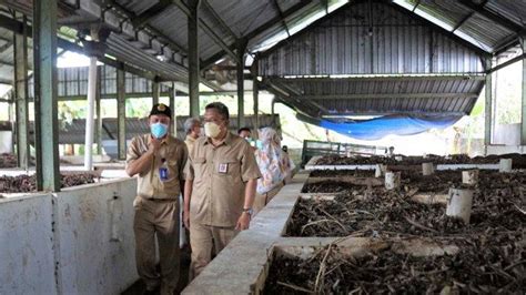 Pemkot Yogyakarta Bakal Kembangkan TPST Berskala Kecil Di Kota Jogja