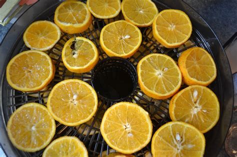 How To Dry Orange Slices For Decorating Garnishing Or Snacking