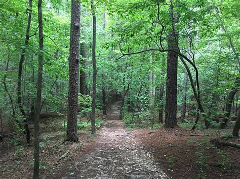 Looking Down the Trail - Sal's Branch Trail - William B. Umstead Park