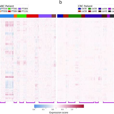 Heatmap Visualizing Inferred CNV Results Obtained Using CopyKAT 10