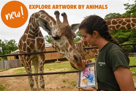 Adopt an Animal | The Maryland Zoo