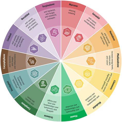 14 Cannabis Terpene Chart Shobhahayes