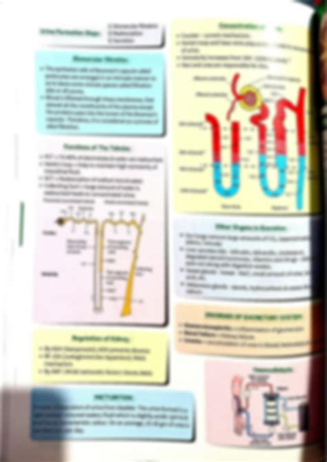 Solution Excretory Products And Their Elimination Mind Map For Neet