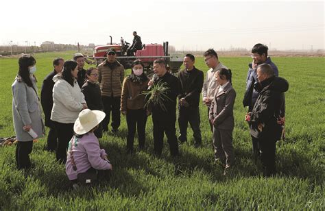 来安“三个一”推动基层文化阵地建设滁州新闻滁州资讯