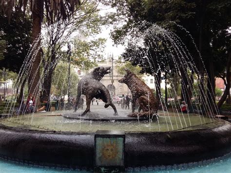Coyoacán Al Sur De La Exótica Y Vibrante Ciudad De México Cdmx Las