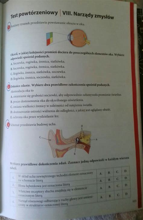 proszę o szybką odpowiedź daje najj pomocy to jest na dziś Brainly pl