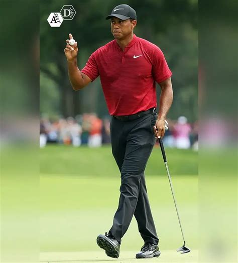 Tiger Woods Wins 2019 Masters