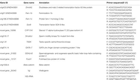 Frontiers Gonad Transcriptome Analysis Of The Razor Clam