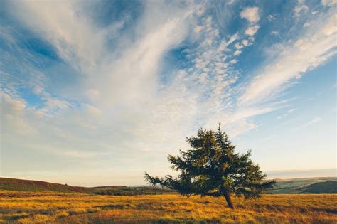 デスクトップ壁紙 日光 風景 自然 空 フィールド 雲 ブランチ イブニング 朝 地平線 雰囲気 国立公園 荒野