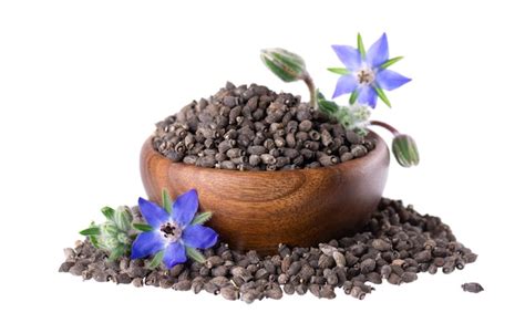 Premium Photo Borage Seeds With Flowers In Wooden Bowl Isolated On A