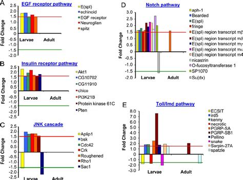 Summary Of Alterations In Signal Transduction Pathways The Expression Download Scientific