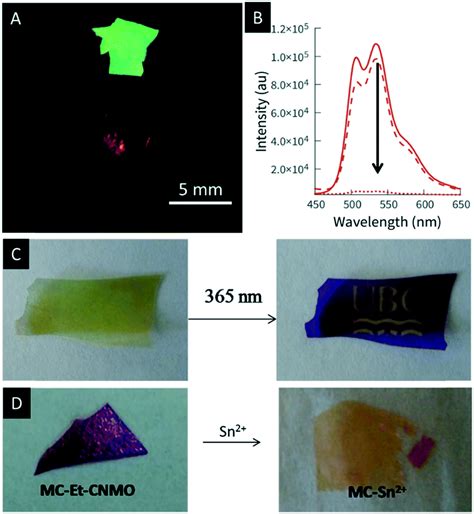 Cellulose Nanocrystals In Nanoarchitectonics Towards Photonic