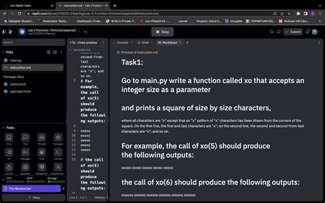 Solved Go To Mainpy Write A Function Called Xo That Accepts