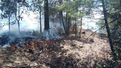 Brigadas Rurales Del Gobierno Del Estado Combaten 10 Incendios