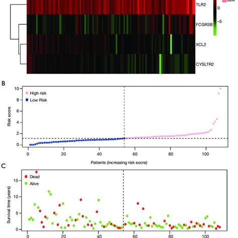 Development Of The Prognostic Index Based On Immune Related Genes A