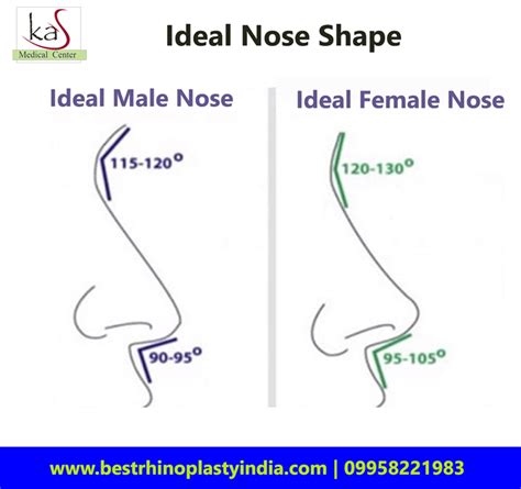 Perfect Male Nose Shape