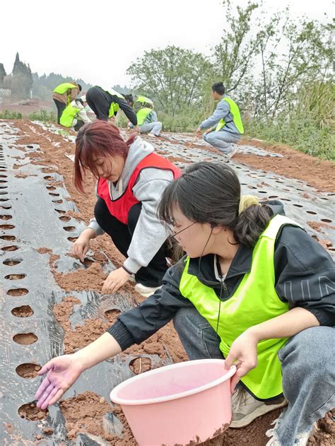 学院组织开展大学生劳动教育实践活动 内江师范学院建筑工程学院