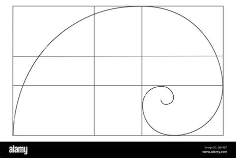 Segno Golden Ratio Spirale Logaritmica In Rettangolo Sequenza