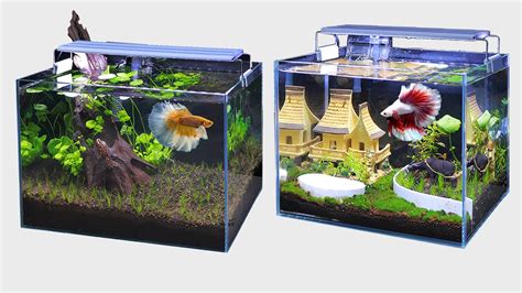 Top 2 Diy Planted Aquarium Decoration Ideas For Betta Fish Diy Nano