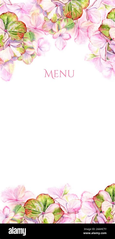 Watercolor Hortensia Menu Card Template Big Detailed Hydrangea Flowers