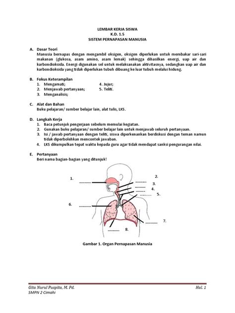 Soal Dan Jawaban Sistem Pernapasan Pada Manusia Kelas 5 Homecare24