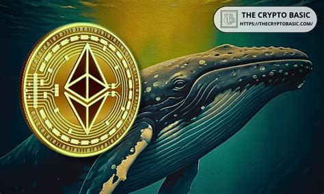 Ethereum Ico Whale Shifts Eth Worth M To Kraken