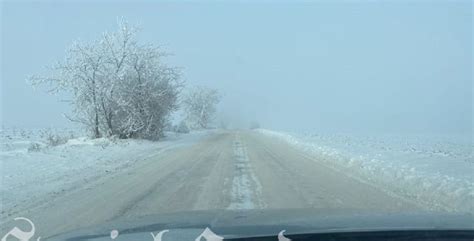 Cum Va Fi Vremea La Arad Dup Ce Valul De Aer Polar A Ajuns N Rom Nia