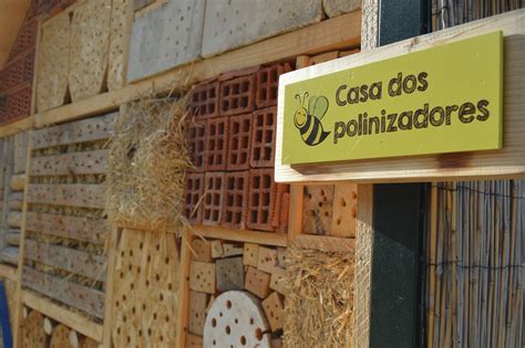 Buc Lico An Nimo Casa Dos Polinizadores