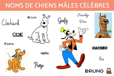 Idées de noms de chiens mâles PLUS DE 900 IDÉES